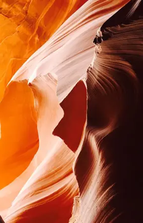Background-11.png